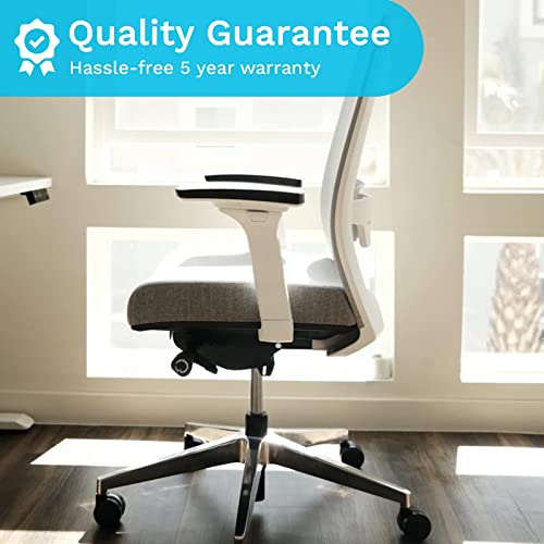 EasyErgo Apollo Ergonomic Chair Ergo Mesh Design for Computer Desk