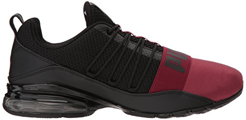 puma cell regulate winterized