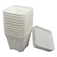 BangQiao 3.90 Inch Plastic Flower Pots for Plants,Cutting,Seedlings, Pack of 10 (White)