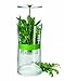 CUISIPRO Herb Keeper, Large, Clear
