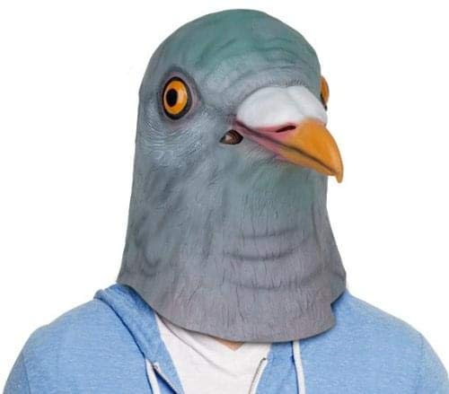 41vgFqvxlLL.jpg