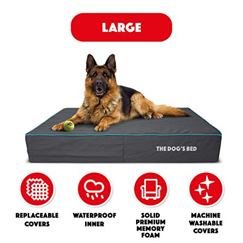 The Dog’s Bed Orthopedic Dog Bed Large Grey/Blue 40x25, Premium Memory Foam, Pain Relief
