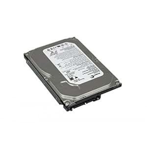 Seagate 250GB Barracuda 7200.10 (ST3250620AS