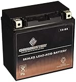 YTX14-BS ATV Battery- Rechargeable, Factory sealed, Replacement for Honda TRX 500 420 450 350 300 Rubicon Foreman Rancher