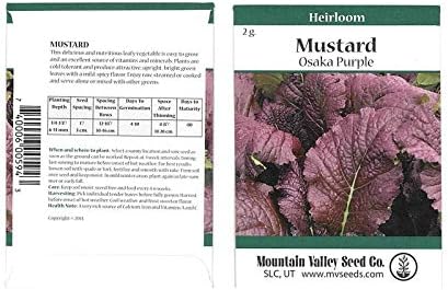 Osaka Purple Mustard Seeds - 2 g Packet - Non-GMO, Micro HERB Greens, Garden