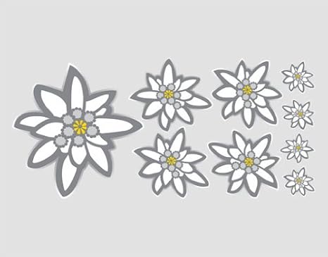 Wtd Ui0 Adesivo Da Parete Motivo Stella Alpina 54x25cm Amazon It Casa E Cucina