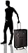 DELSEY PARIS Sky Max Softside Expandable Luggage with Spinner Wheels, Black, Checked-Large 29 Inch