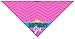Stonehouse Collection Dog Birthday Girl - Happy Birthday Dog Bandana - Dog Birthday Scarf Accessory - Great Dog Gift Idea (Medium to Large)
