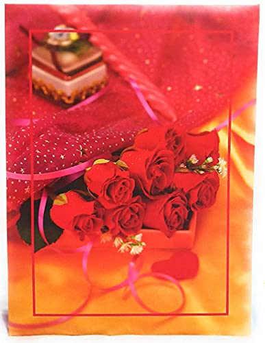 NATRAJ ORIGINAL Plastic Photo Album (4×6 inch, Multicolour)