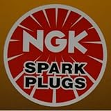 NGK (8196) DCPR6EIX Spark Plug - Pack of 4