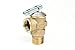 Tankless Water Heater Flush Kit 3/4