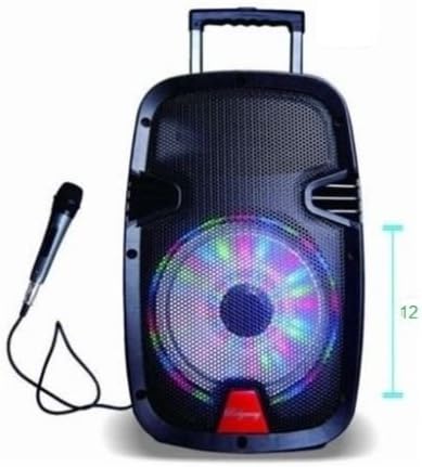 ridgeway rechargeable speaker system with trolley