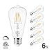 LVWIT ST21 LED Filament Bulb 5W(40 Watt Equivalent) Dimmable 2700K Warm White Vintage Edison Light Bulb E26 Medium Base (6-Pack) (5W-Warm White)