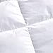 Coozii Goose Down Alternative Comforter Queen 90 x 90 Inch,Ultra Soft Brushed Microfiber， Quilt with Corner Tab for All Season Hypoallergenic Plush Mircofiber Comforter Duvet Insert