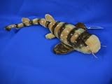 Wild Life Artist Bamboo Shark
