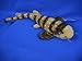 Wild Life Artist Bamboo Shark