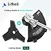 LiTHELi 40V Cordless Grass Trimmer 14 inches 2 in 1 with Brushless Motor, 2.5AH Battery and Charger…