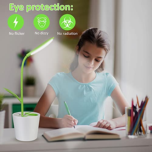 IEGROW cute desk lamp with usb charging port rechargeable boys desk