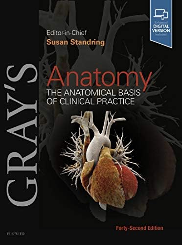 Amazon.com: Gray's Anatomy E-Book eBook : Standring PhD DSc, Susan