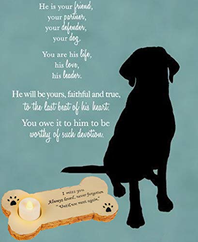 Gwnuqpa Pet Memorial Stone for Dog with 3 Pack Flameless Led Lights Candles for in Memory of Dog Rainbow Bridge Keepsake, Loss of Dog Gifts,Grave Marker for Outdoor Tombstone Or Indoor Display