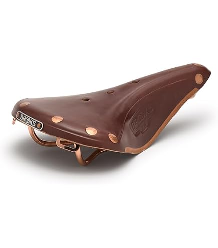 Amazon.com : Brooks England B17 Short Leather Bike Saddle Black