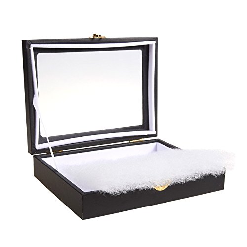 4 Insect+Display+Case+Window+Collecting