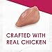 Purina Fancy Feast Sliced Chicken Feast Wet Cat Food in Gravy - (Pack of 24) 3 oz. Cans