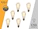 Edison light bulb – 6 Pack – The Capital - 40 Watt Bulb - Choose from many other designs. watt Inspired by Thomas Edison these incandescent filament style bulbs provide retro vintage light ambiance