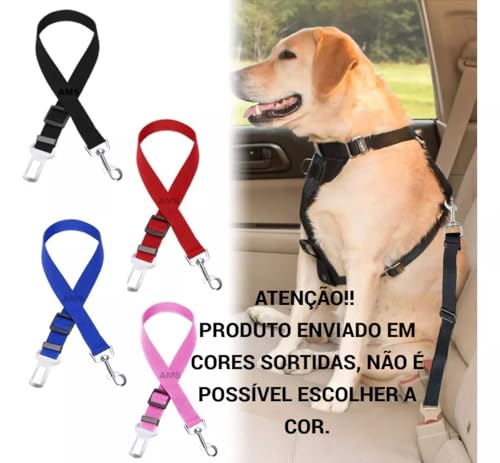 Cinto de Segurança para Animais de Estimação, Coleira e Colete com Fivela Ajustável, Resistente para Cães e Gatos