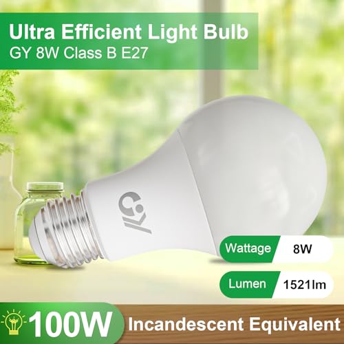 GY E27 LED Warm White Light Bulb, 8 W 1521 LM Energy Saving Bulb, Replaces 100 W Bulbs, Energy Efficiency Class B, A60 LED Warm White, Beam Angle 360° Bulb, Not Dimmable, Pack of 6