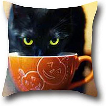 Robert Beautiful Black Cats Halloween Painting Throw Pillow Coverremovable With Zip Body Pillow Case Anime ( 20*20 )