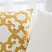 HWY 50 Mustard Yellow Decorative Throw Pillow Covers 18x18 Inch (1 Piece), Embroidered Cotton Farmhouse Cushion Cover Pillow Case for Sofa Couch Living Room Bed, Geometric