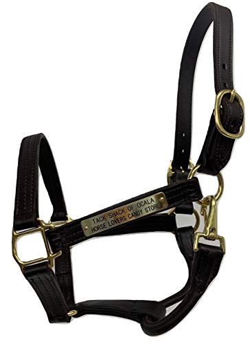 Tack Shack Of Ocala Leather Halter with Customized Engraved Name Plate (Horse)