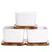 Winlyn 3.3 Inch White Ceramic Contemporary Square Design Succulent Plant Pot/Cactus Plant Pot with Bamboo Tray - Pack of 3