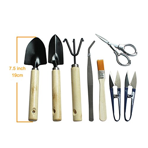KNASI Bonsai Tools Kit, Succulent Garden Hand Tools For Women and Man, Miniature Indoor Gardening Set 8 pcs in a bag -Include Pruner, Fold Scissors, Mini Rake, Bud, Cleaning Brush & Leaf Trimmer