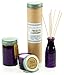 Paddywax Candles Relish Collection Jar Candle, 3-Ounce, Fresh Fig and Cardamom