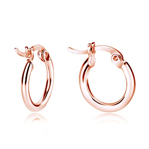 Rose Gold Earrings Hoops, Rose Gold Earrings for Women