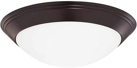 12 Inch Flushmount Ceiling Light Flush Mount Ceiling Light