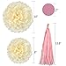 Pistha 30 PCS Bachelorette Party Decorations Party Decoration Paper 8 PCS Tissue Paper Pom Pom 20 PCS Tissue Tassel 2 PCS Garland Polka Dot Paper with Some Golden Lines
