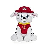 PAW FO26772973 Kids Coin Bank, 7.5