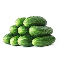 RDR Seeds 50 Straight Eight Cucumber Seeds Cucumis Sativus