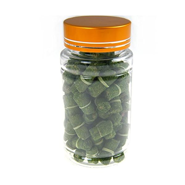 80pcs-in-1-Bottle-Green-Grass-Carp-Baits-Fishing-Lures-Fishing-Baits 80pcs-in-1-Bottle-Green-Grass-Carp-Baits-Fishing-Lures-Fishing-Baits