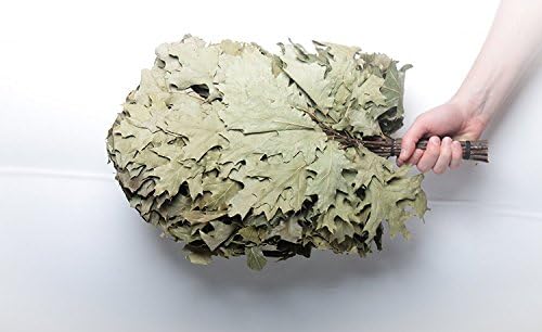 Sauna massager - Oak Bath broom. Your medical sauna broom and health Venik for your body (Russian banya and sauna accessories)