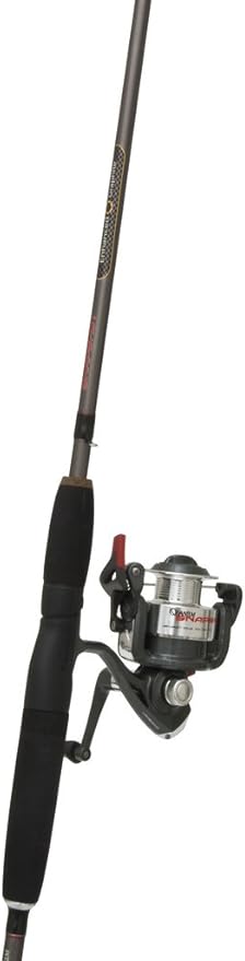 quantum snapshot rod