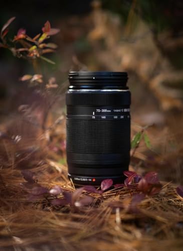 OM SYSTEM M.Zuiko Digital 75-300mm II Lens, Super Telephoto, Compact, Lightweight, Fast Autofocus, for Olympus Panasonic Micro Four Thirds Cameras, Ideal for Wildlife & Sports Photography, Black