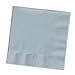 Creative Converting Touch of Color 2-Ply 50 Count Paper Beverage Napkins, Shimmering Silver