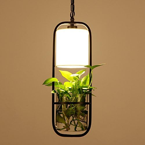 Pendant Light Nordic Plant Fish Tank Wall Glass Black Art Iron for Living Room Bedroom Restaurant Study Office Art Deco Christmas Thanksgiving Decorating Lamp Birthday Gift [Energy Class A++]