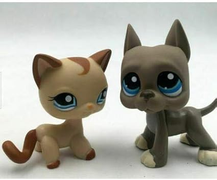 lps shorthair cat 1024