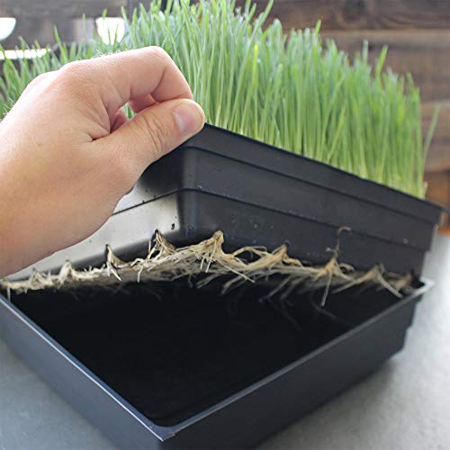 10Pack 1020 Garden Growing Trays Without Drain Holes 10" x 20