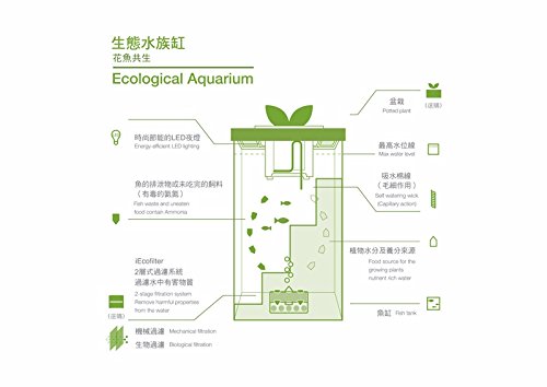 yi 5 aquaponics system home office decor interior design